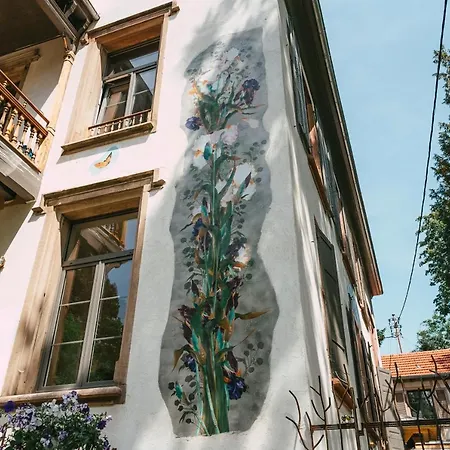 Domaine Boheme I Art De Vivre Apartment Guebwiller Exterior photo