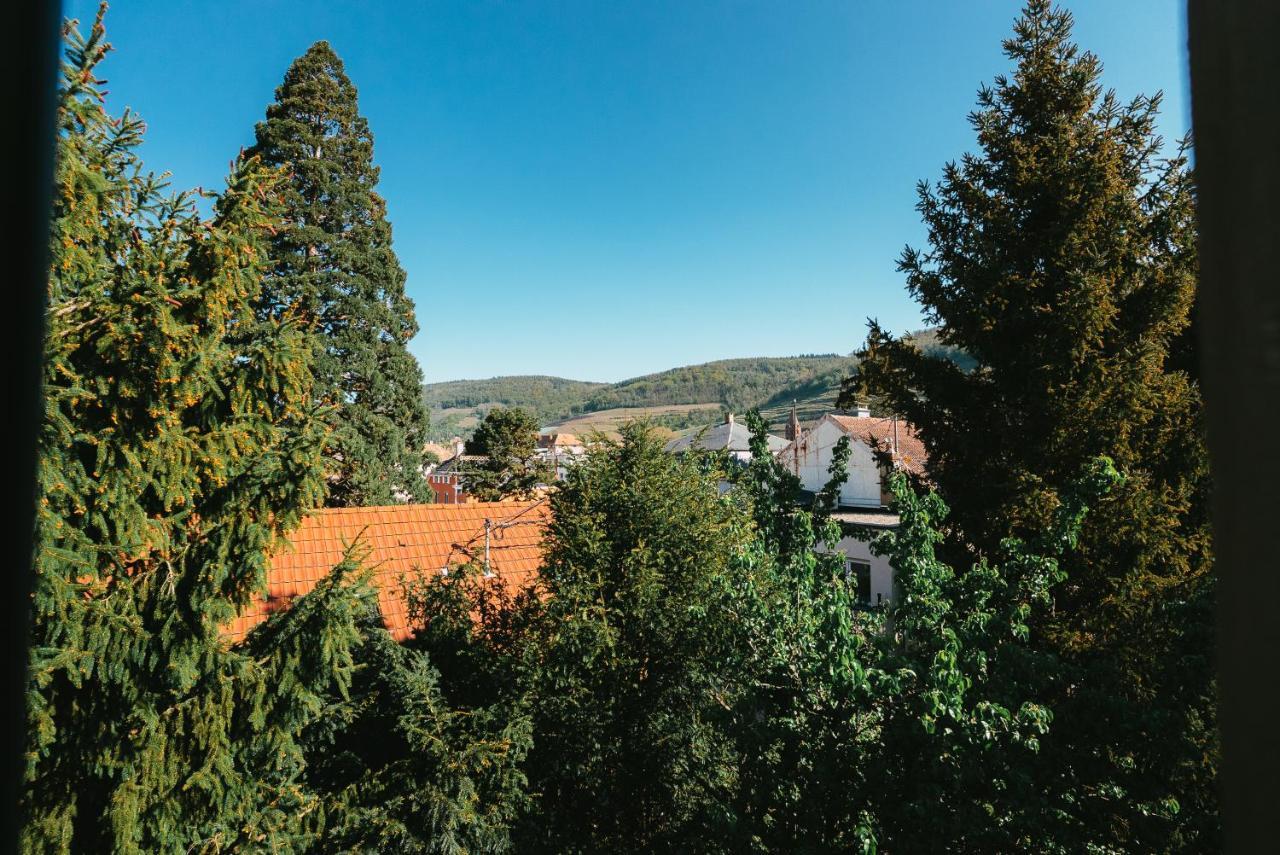 Domaine Boheme I Art De Vivre Guebwiller